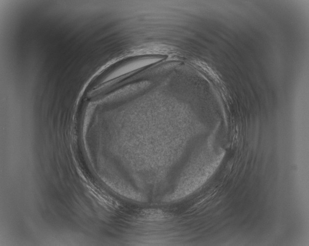 X0000081580392200702121453