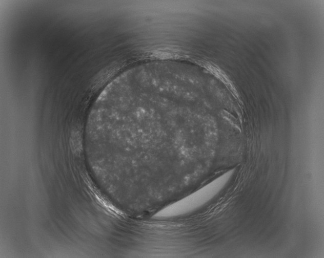 X0000081580393200702121453