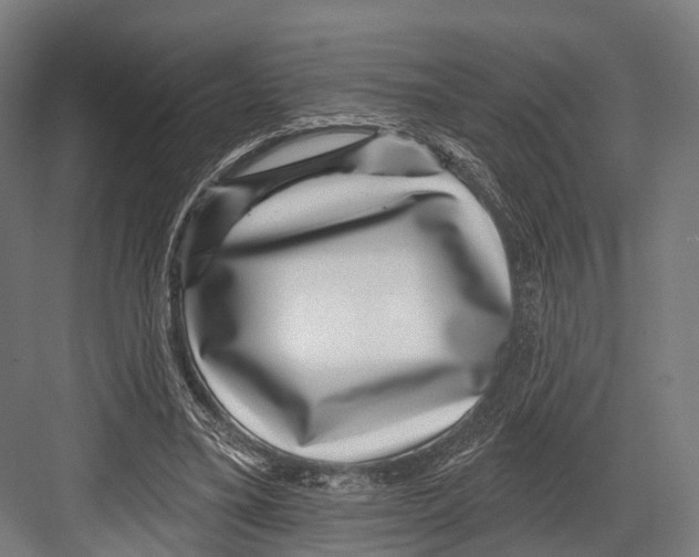 X0000081580395200702121453