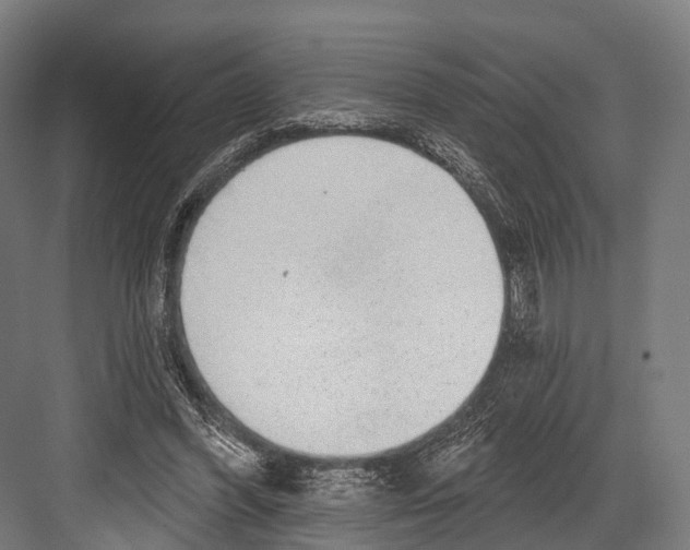 X0000081580396200702121453