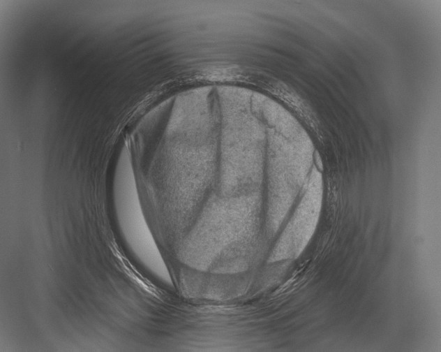 X0000081580397200702121453