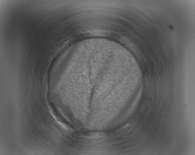 X0000081580398200702121453