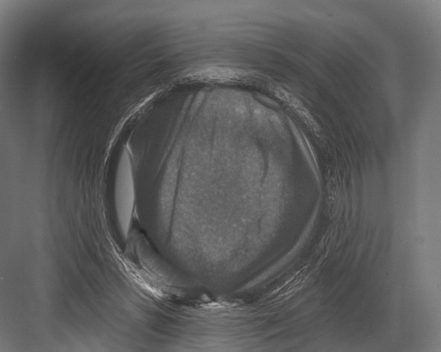 X0000081580399200702121453