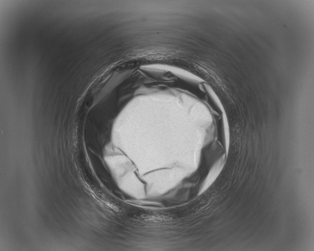 X0000081580400200702121453