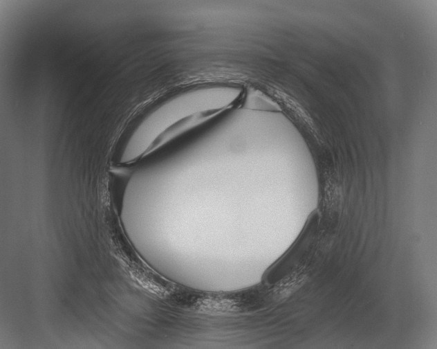 X0000081580403200702121453