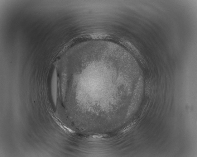 X0000081580405200702121453