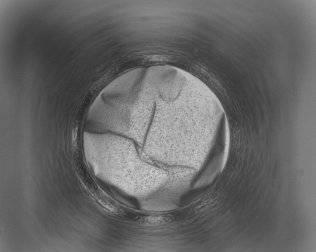 X0000081580406200702121453