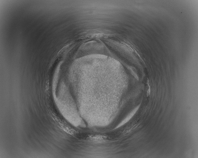 X0000081580407200702121453