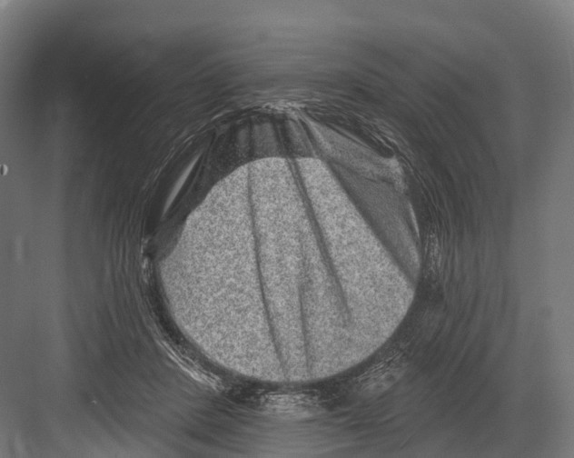 X0000081580408200702121453