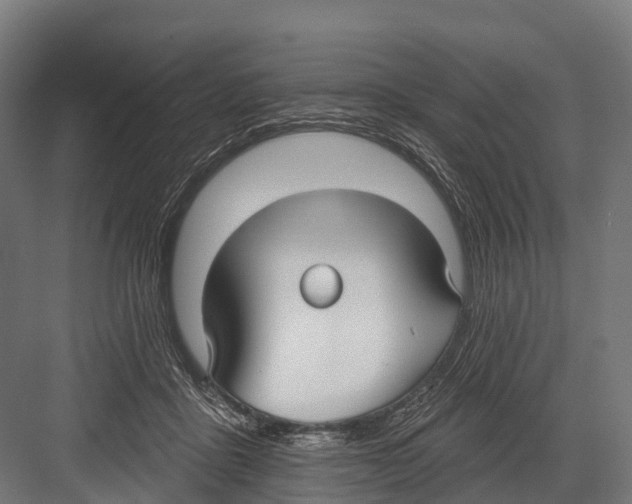 X0000081580411200702121453