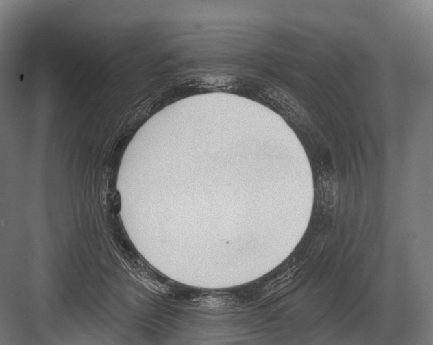 X0000081580412200702121453