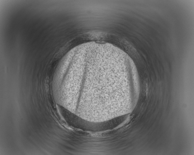 X0000081580413200702121453