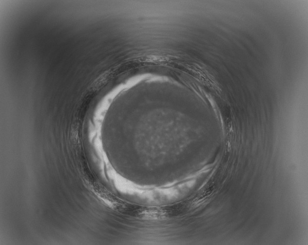 X0000081580415200702121453