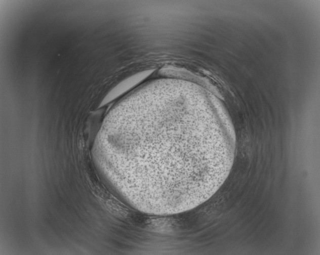 X0000081580417200702121453