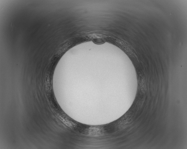 X0000081580418200702121452