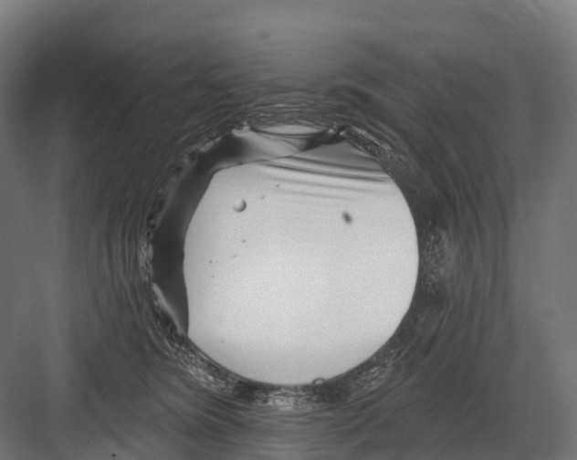 X0000081580420200702121452