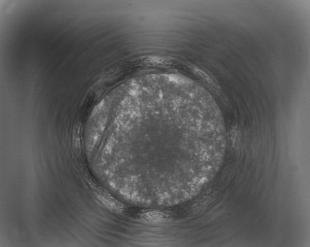 X0000081580423200702121452