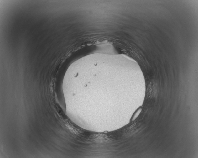 X0000081580424200702121452