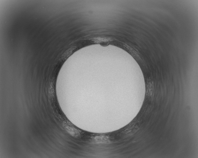 X0000081580426200702121452