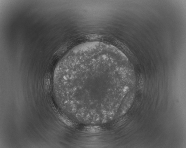 X0000081580427200702121452