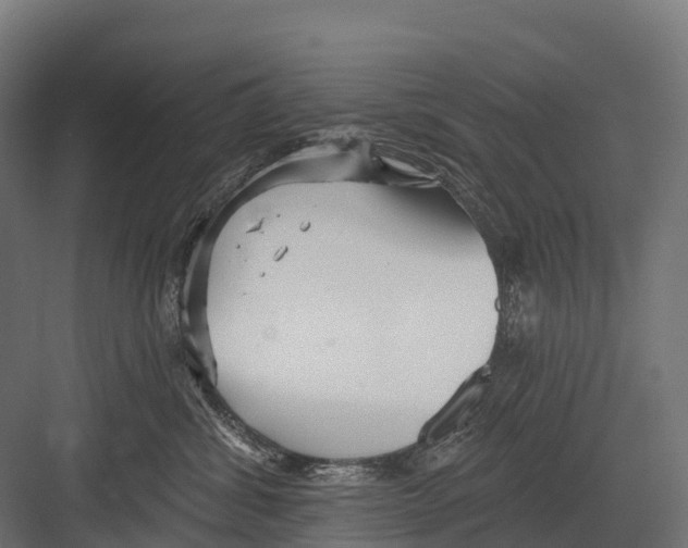 X0000081580428200702121452