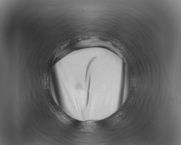 X0000081580429200702121452