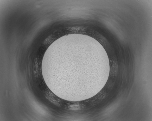 X0000081580430200702121452