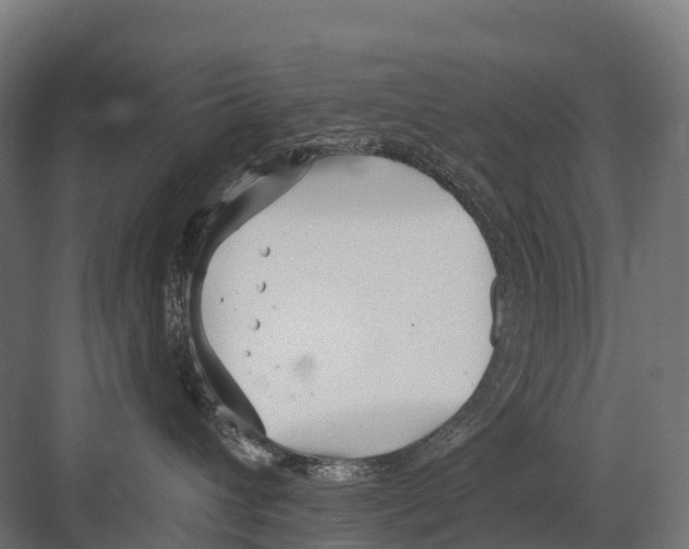 X0000081580432200702121452