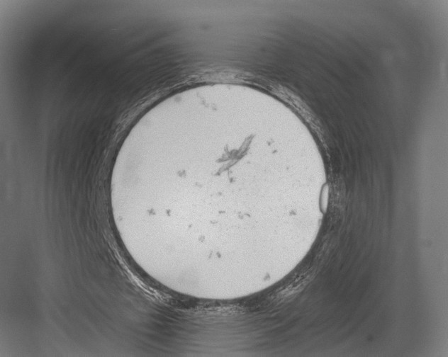 X0000081580433200702121451