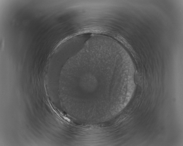 X0000081580434200702121451