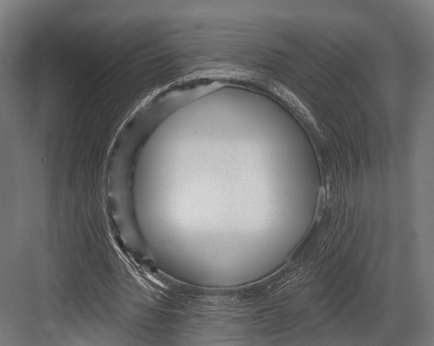 X0000081580436200702121452