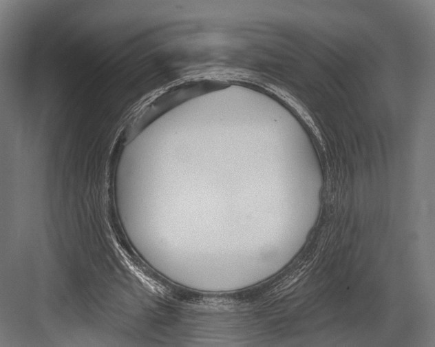 X0000081580437200702121452