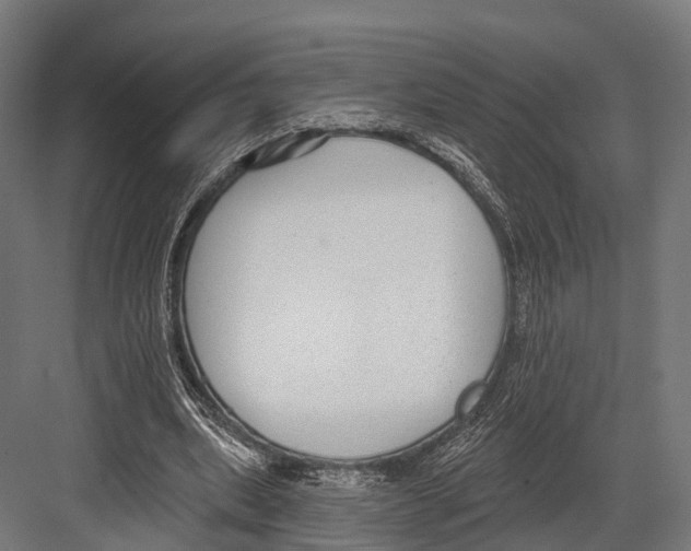 X0000081580439200702121452