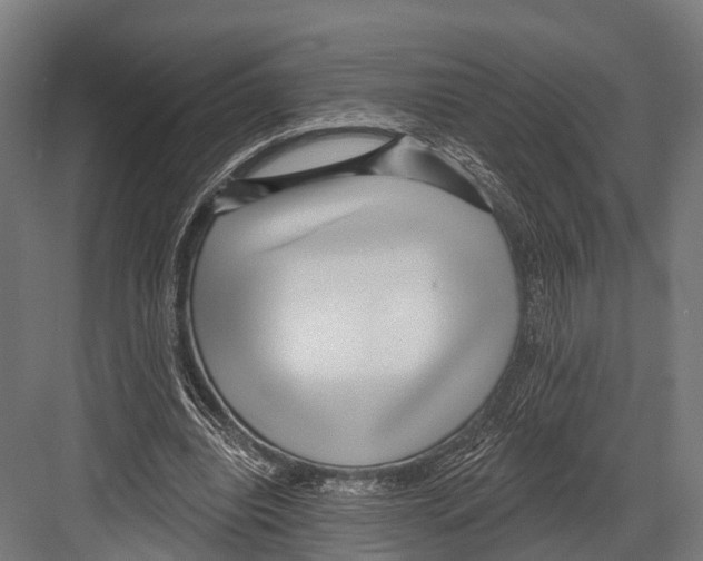 X0000081580440200702121452