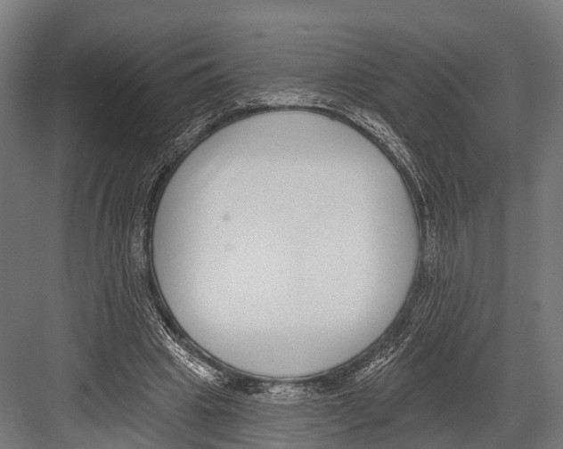 X0000081580441200702121452