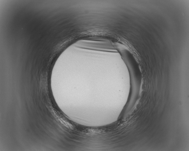 X0000081580442200702121452