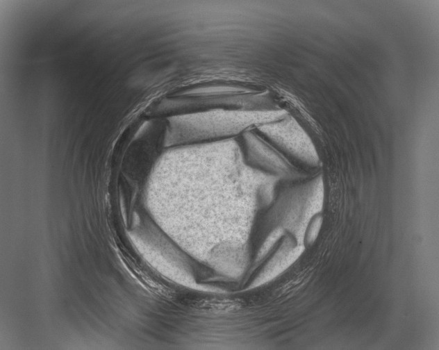 X0000081580443200702121452