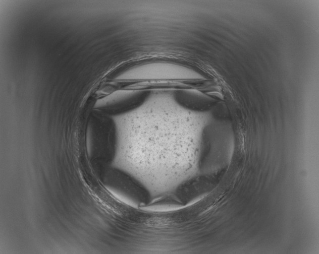 X0000081580444200702121452