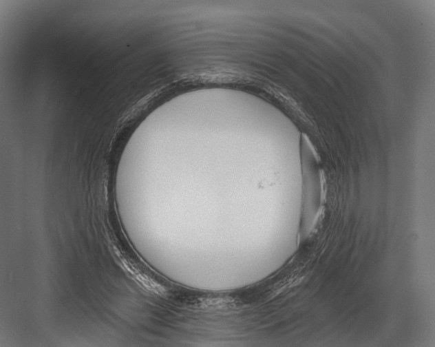 X0000081580446200702121452