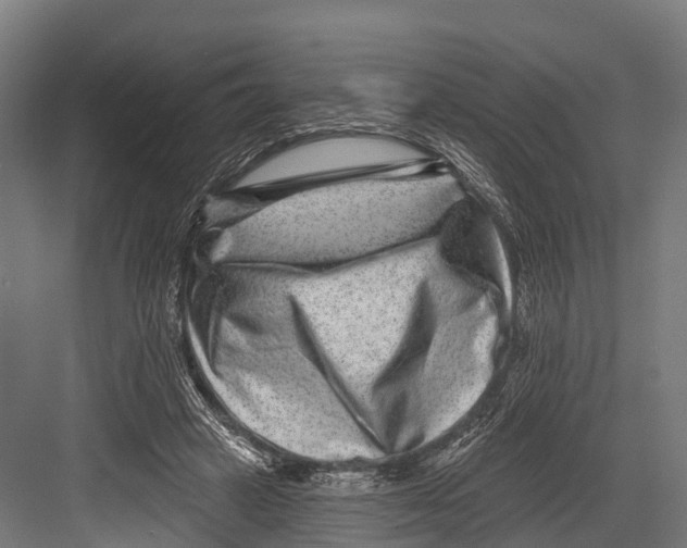 X0000081580449200702121452