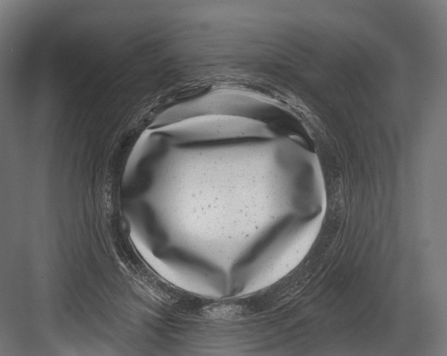 X0000081580452200702121452