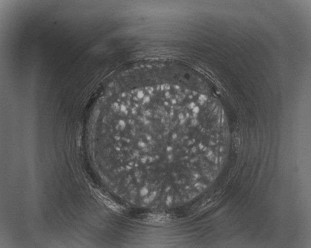 X0000081580458200702121452