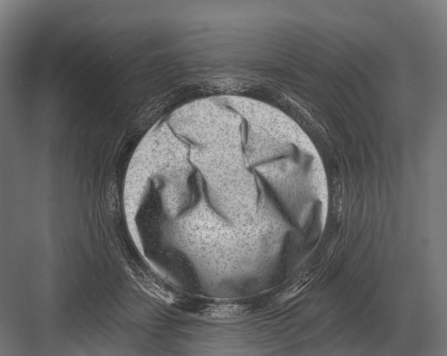 X0000081580459200702121452