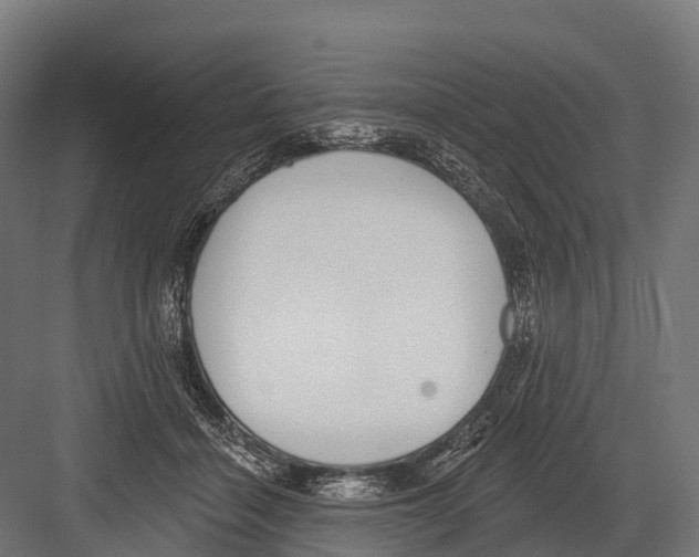 X0000081580460200702121452