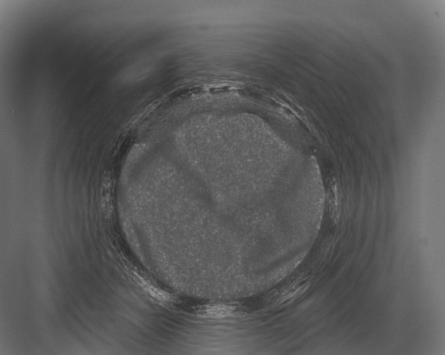 X0000081580462200702121452