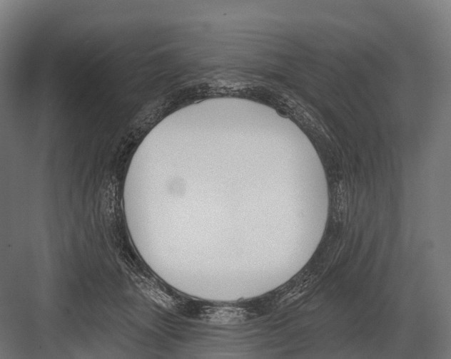 X0000081580463200702121452