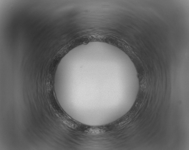 X0000081580464200702121452