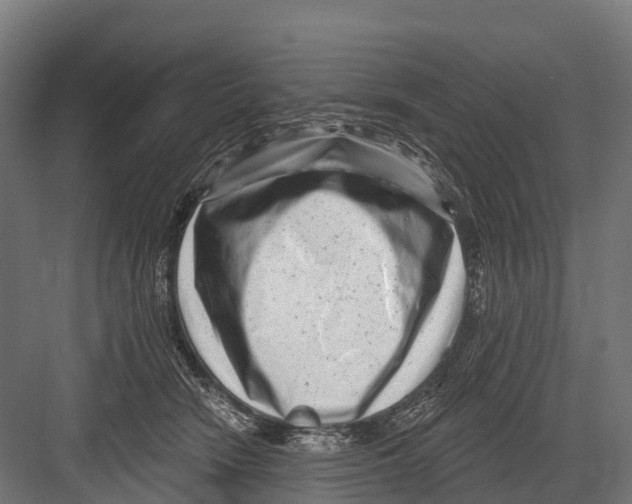 X0000081580466200702121452