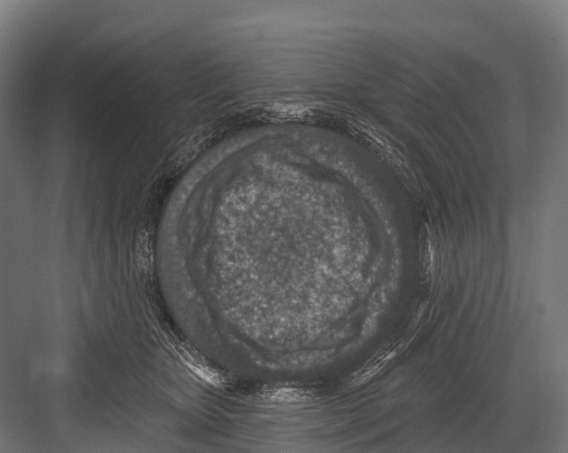 X0000081580467200702121452