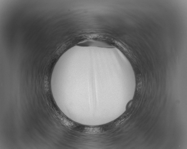 X0000081580469200702121452